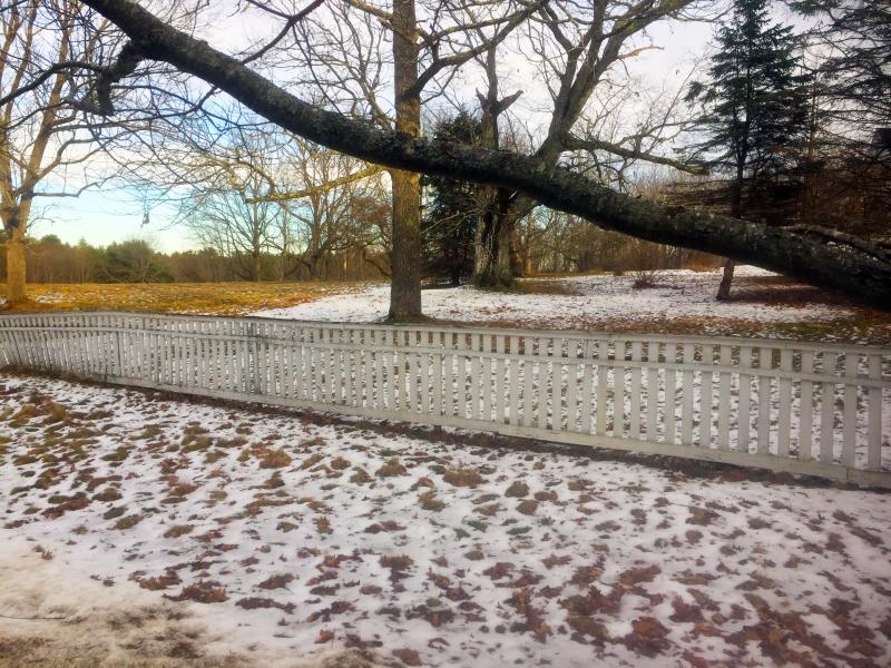 Fence. SUZI THAYER/Boothbay Register