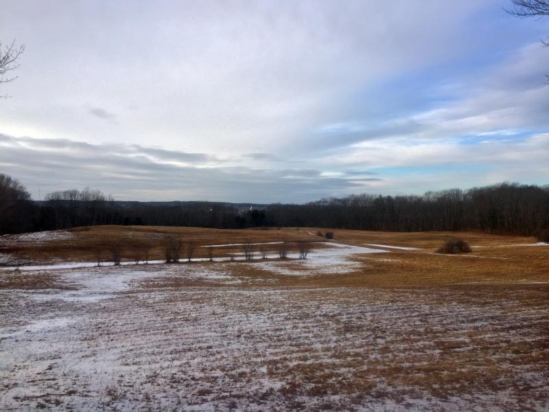 Singing Meadows. SUZI THAYER/Boothbay Register