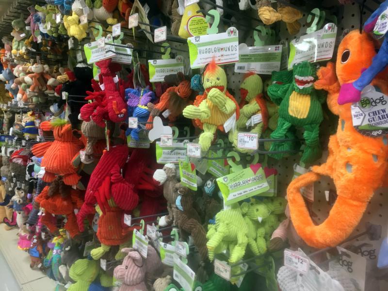 There is an endless supply of pet toys. SUZI THAYER/Boothbay Register