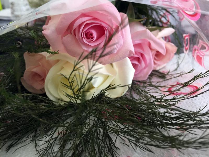 Roses can be breathtakingly beautiful. SUZI THAYER/Boothbay Register