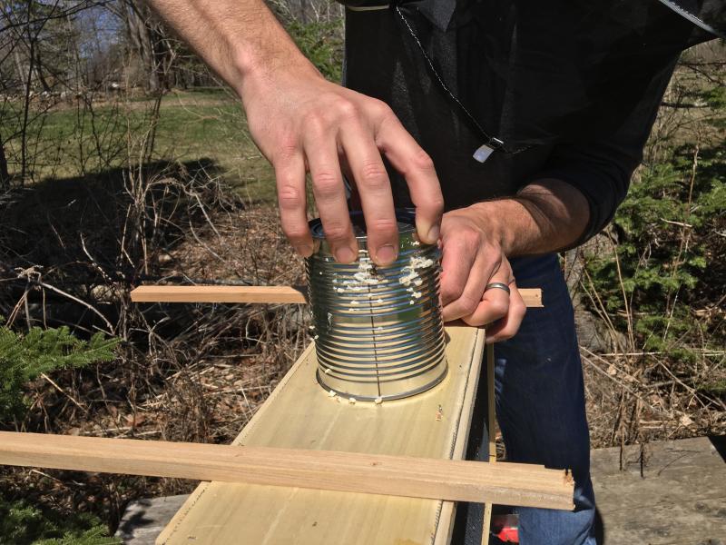 The can holding the queen bee. SUZI THAYER/Boothbay Register