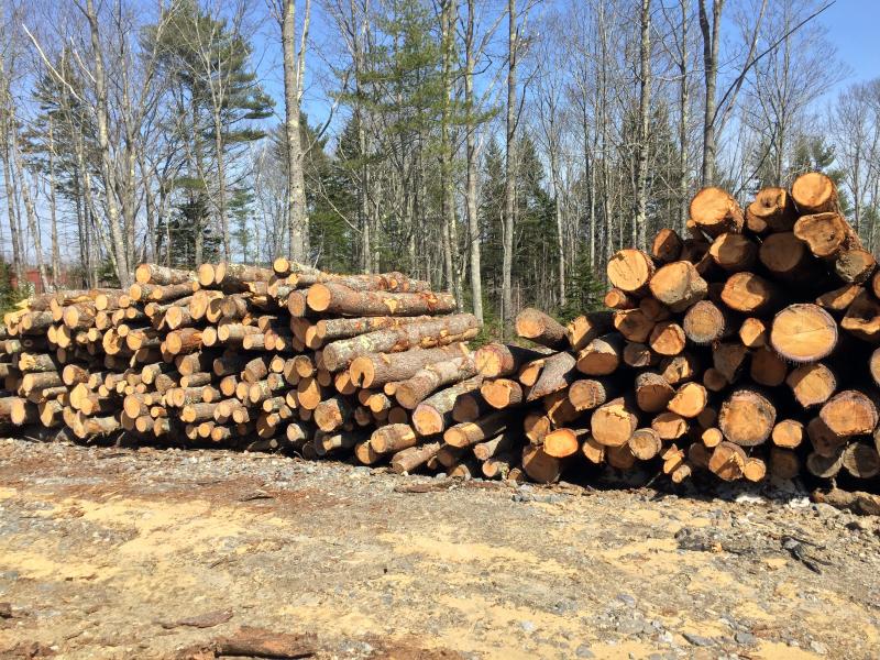 All the wood products at the plant are made from local forests. managed in a sustainable way. SUZI THAYER/Boothbay Register