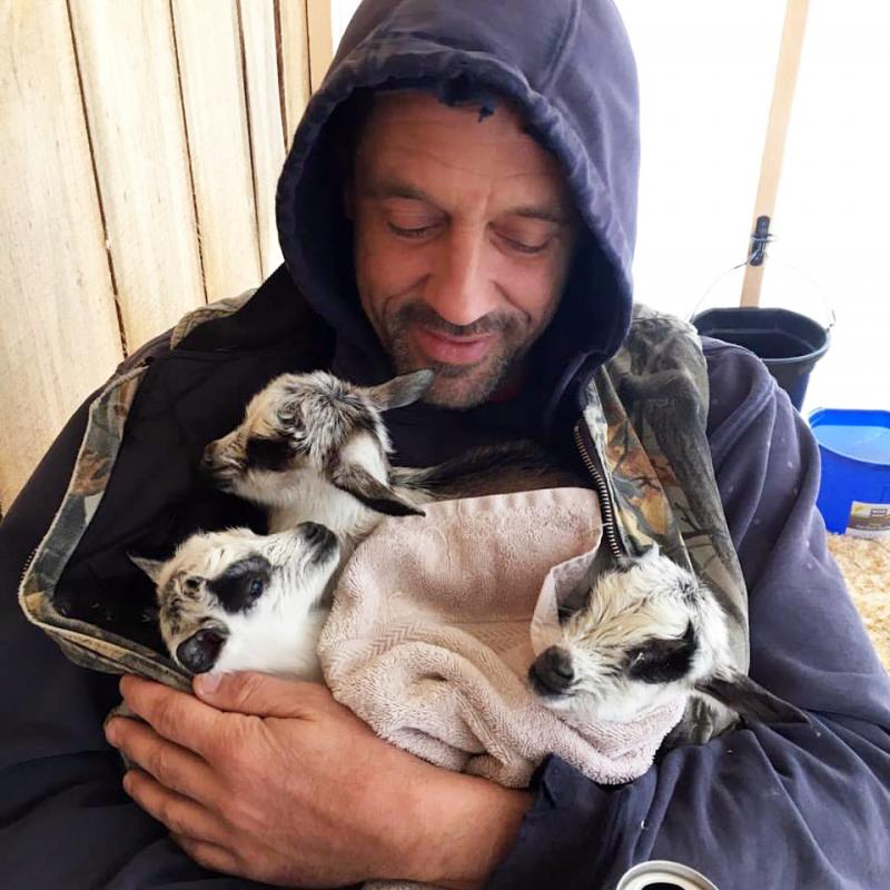 Seth Lewis and some newborn babies at Blue Tin Farm in Edgecomb. Courtesy of Crystal Lewis