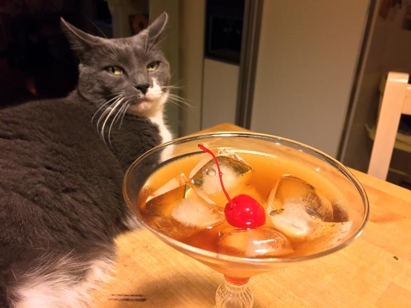 Ruby and a manhattan make cooking more fun. SUZI THAYER/Boothbay Register