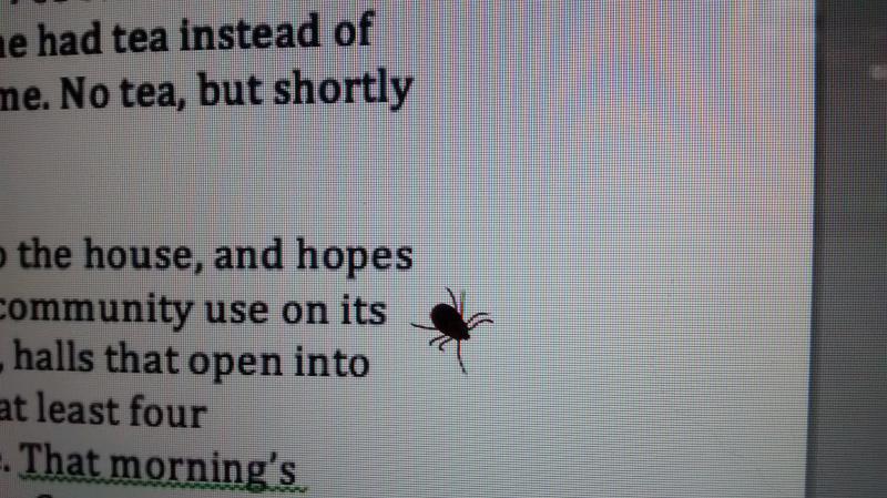 An adventurous tick that hitched a ride home. Do dress for your ramble. MORGAN CALLAN ROGERS/News Contributor
