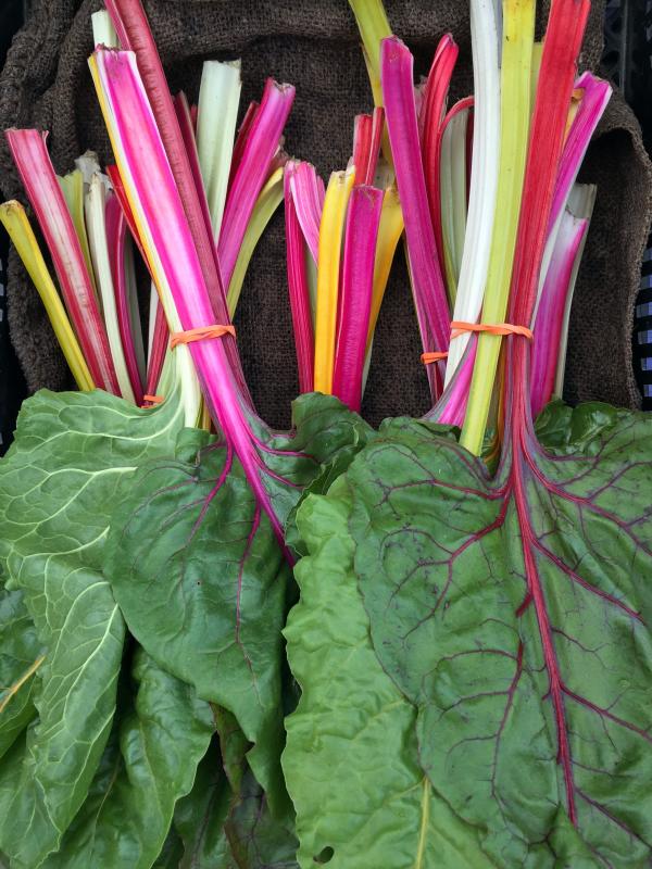Dharma Farm’s brilliantly colored psychedelic rainbow chard at the Boothbay Farmers' Market on July 6. SUZI THAYER/Boothbay Register