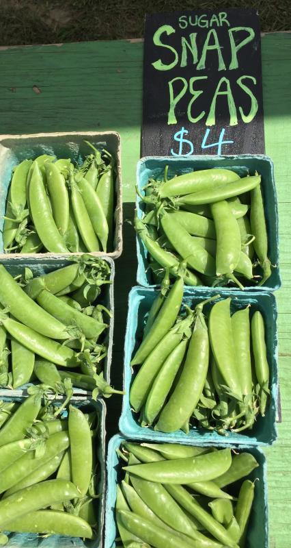 Sugar snap peas at Dharma Farm’s stand at the Boothbay Farmers’ Market on July 6. SUZI THAYER/Boothbay Register