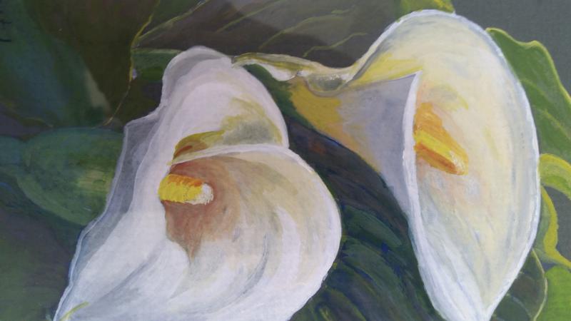 “Calla Lillies,” a watercolor by Virginia Forrest - look for it in the Maine Art Gallery’s “Color in Bloom” show opening Aug. 18. Courtesy of the venue Virginia Forrest