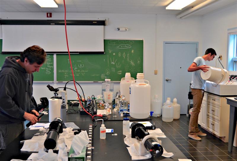 Julien Laliberte and Nils Haentjens busy in the lab during the ocean optics class held at the Darling Marine Center. Courtesy of Aliya Uteuova