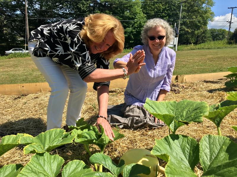 Jean Krause, left, and Pastor Kate Pinkham check the progress on their giant pumpkin at Edgecomb Community Church. SUZI THAYER/Boothbay Register