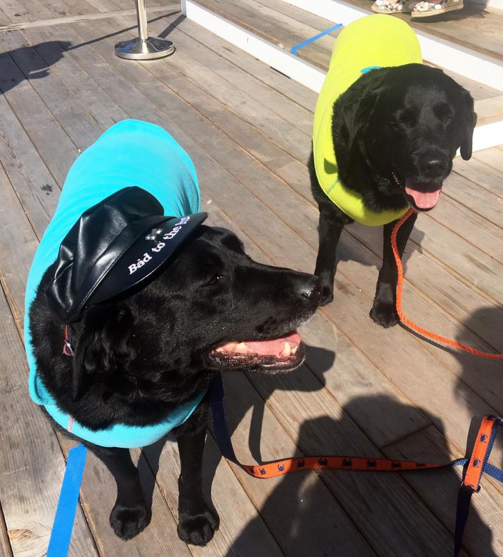 Two Salty Dogs dress up for Fishin’ for Fashion. SUZI THAYER/Boothbay Register