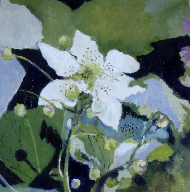 “Blue Ribbon Flower,” 20” x 20” oil on canvas by Marcia Brandwein. Website image Marcia Brandwein