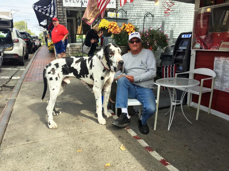 Tucker, the big great dane, and his dad, Jerry Case, on Red’s Day, Sept. 30. SUZI THAYER/Boothbay Register