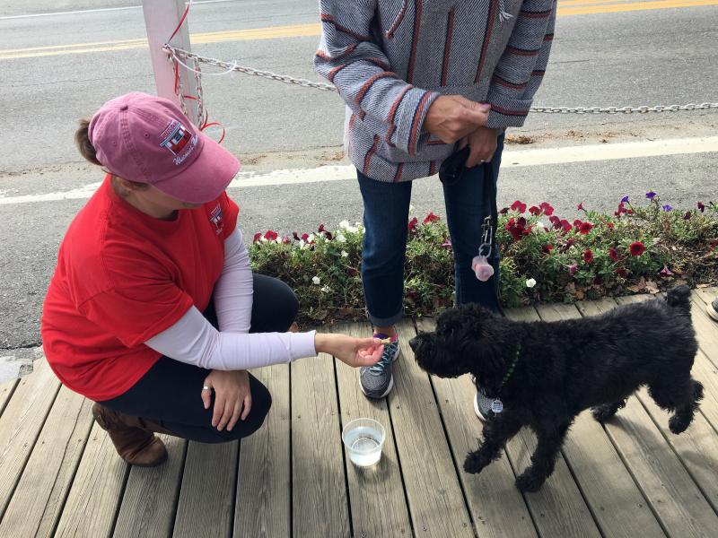 One of the reasons people and their dogs don't mind waiting in line at Red's. SUZI THAYER/Boothbay Register