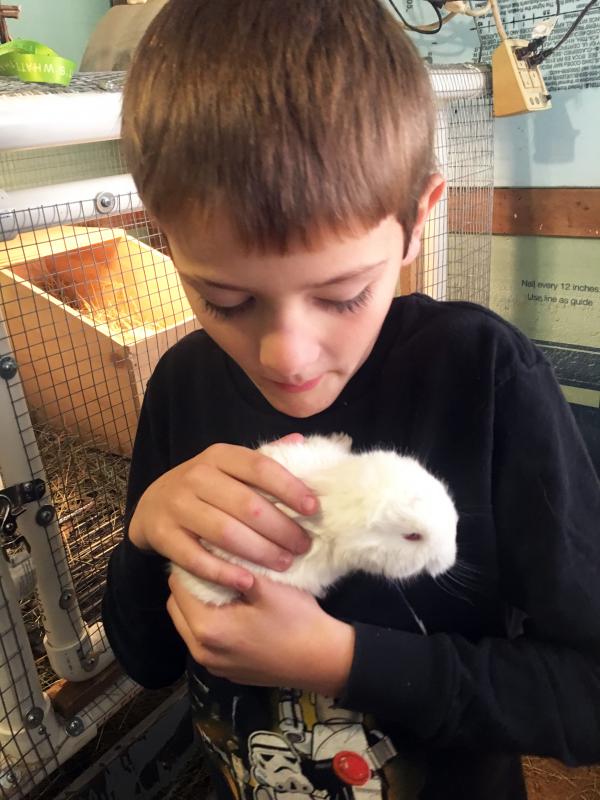 Jeffrey Ford holds one of his baby German Angora bunnies. Courtesy of Robin Ford