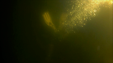 From three feet below the surface, Fuller descends. JOSEPH CHARPENTIER/Boothbay Register