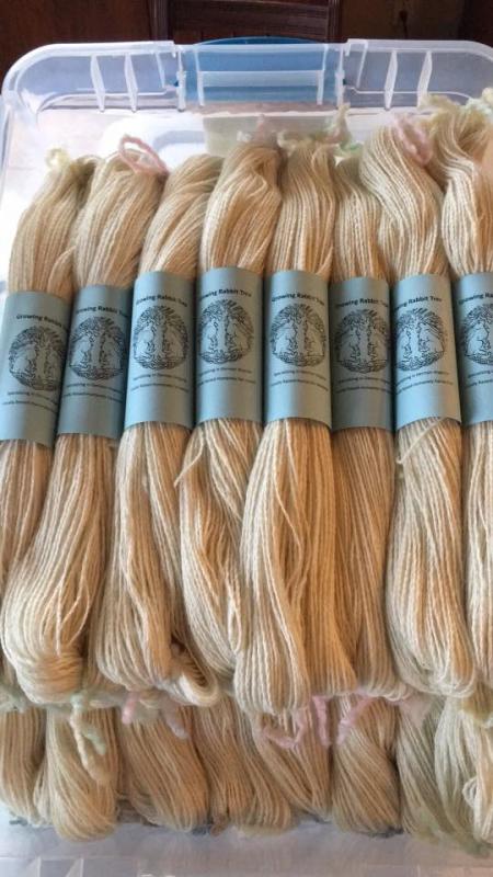 Growing Rabbit Tree yarn. Courtesy of Robin Ford