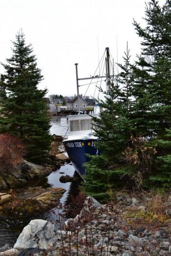 Head Tide broke free of a dock and floated into the head of Mill Cove. JOSEPH CHARPENTIER/Boothbay Register