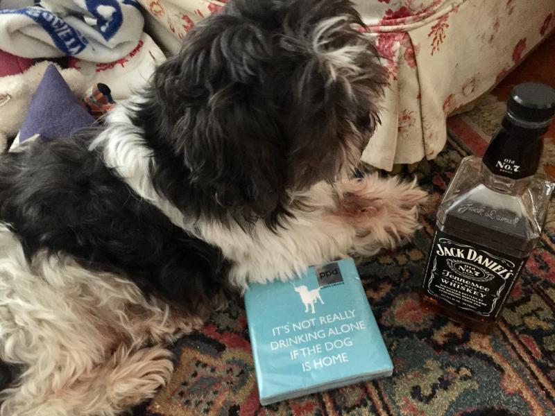 Elliot likes my new napkins from our friend Caroline Canning, who knows us very well. SUZI THAYER/Boothbay Register