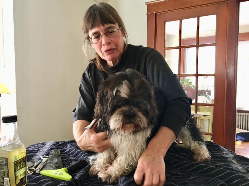 Mary Jo Foley clips Elliot in his own home. SUZI THAYER/Boothbay Register