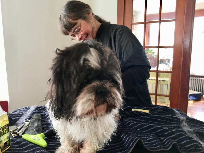 Mary Jo Foley begins to groom Elliot in his own home. SUZI THAYER/Boothbay Register