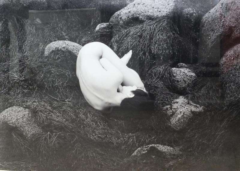 Photograph by Charles Dufour