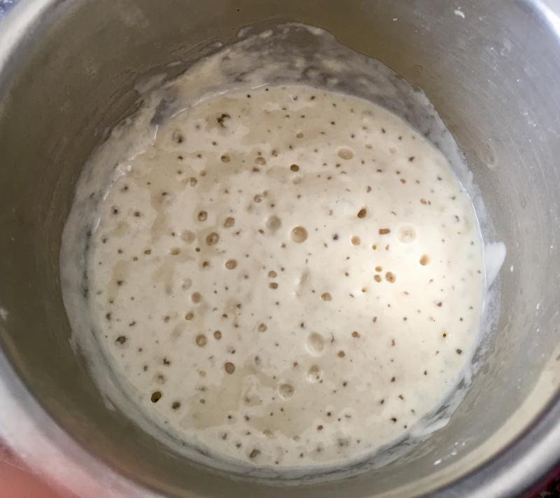 The preferment 24 hours and one manhattan later. SUZI THAYER/Boothbay Register