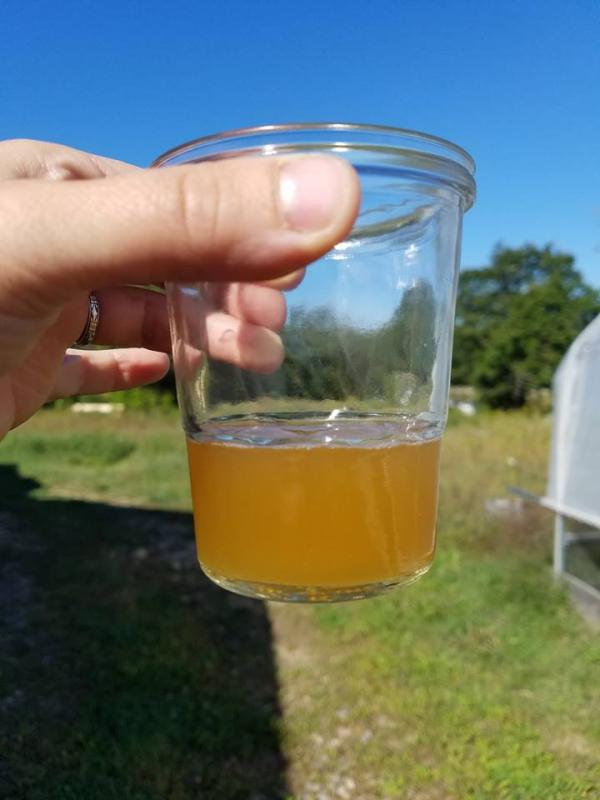 Newly brewed beer at Sasanoa Bewery. Courtesy of Angie Trombley