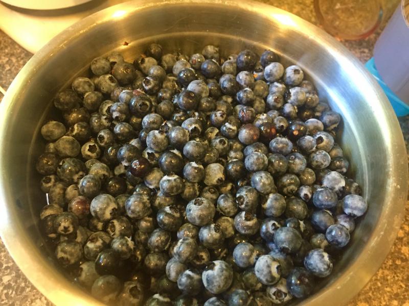 Wild Maine blueberries ready for ... whatever. SUZI THAYER/Boothbay Register