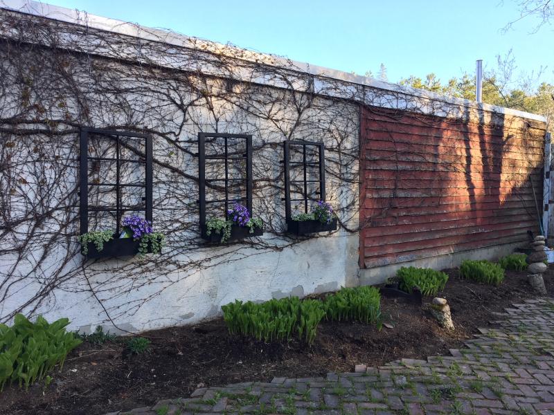 "The Garden" at Montsweag Farms Restaurant, where Bailey Bartlett is transforming the area, using vines that were growing along the side of the building and window frames torn out of an old out building on the grounds. SUZI THAYER/Boothbay Register