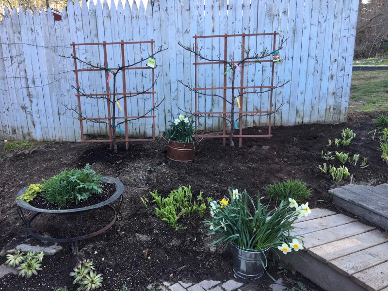 "The Garden" at Montsweag Farms Restaurant. Bailey Bartlett is transforming the area. SUZI THAYER/Boothbay Register