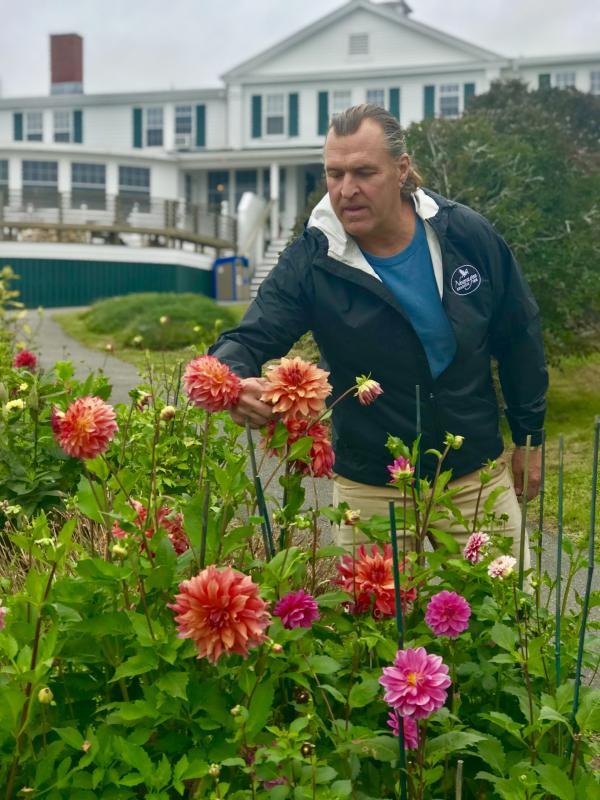 Gardener Doug Peck checks his prize-winning dahlias and zinnias at Newagen Seaside Inn. Courtesy photo
