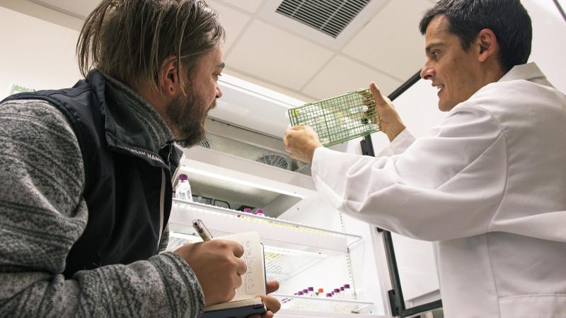 Scientist Joaquίn Martίnez Martίnez, right, shows artist Justin Levesque vials of marine algae infected with viruses at Bigelow Laboratory for Ocean Sciences in East Boothbay. As a visiting artist-in-residence at the nonprofit research laboratory, Levesque recently began working to gain inspiration for an art exhibit that is planned for public display in summer 2019. Courtesy of Bigelow Laboratory
