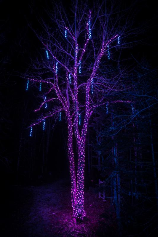 Mike Leonard photo