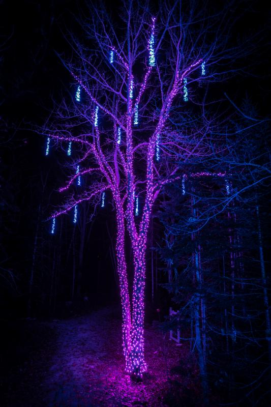 Mike Leonard photo
