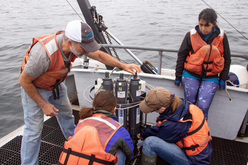 Senior Research Scientist David Fields teaches a group of college interns to collect water samples during a research cruise on the Damariscotta River as part of the Research Experience for Undergraduates program. Fields was recently awarded the prestigious 2019 Ramón Margalef Award for excellence in teaching and mentoring for his leadership of Bigelow Laboratory's education programs. Courtesy of Bigelow Laboratory for Ocean Sciences