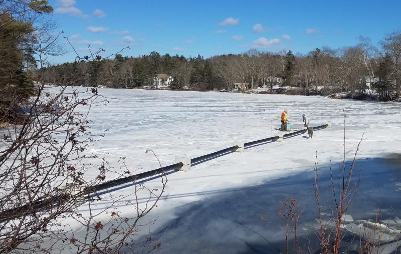 Pond-side pipe is laid out on the surface of the pond as Mike Doyen and Pat Farrin, assisted by Reef, determine the proper location for siphon intake. Merritt Blakeslee photo