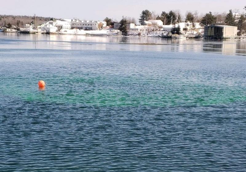 And here it is, the culmination of five years of hard work as green dye filters through the siphon into the ocean. Merritt Blakeslee photo
