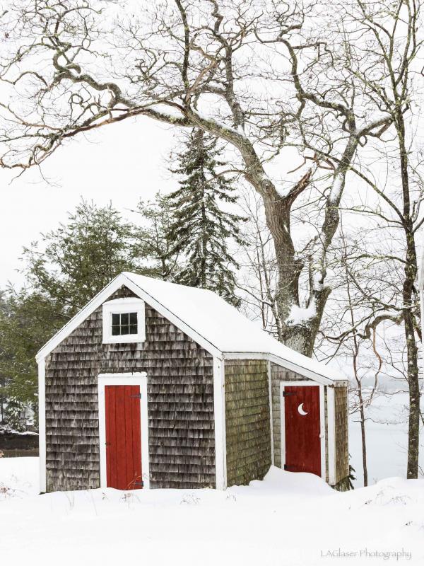 Lois Glaser photo