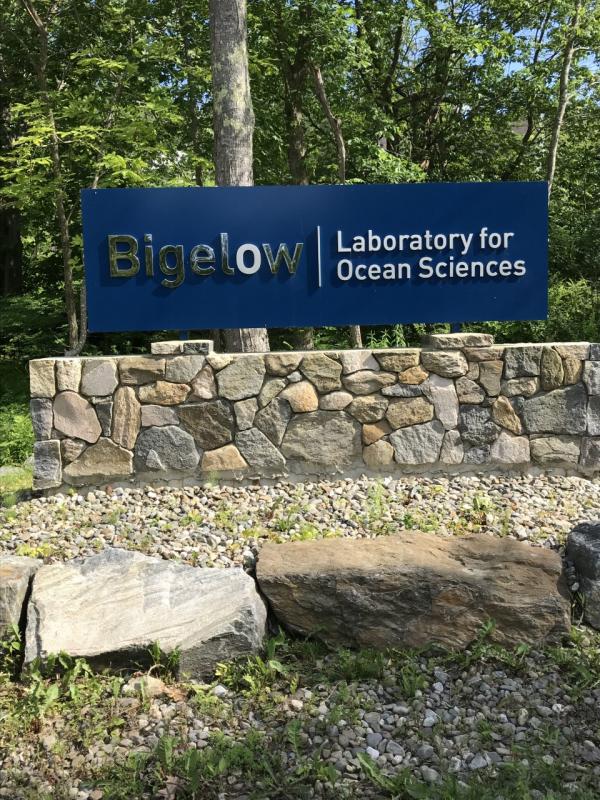 Bigelow Laboratory. KELLIE BIGOS/Boothbay Register