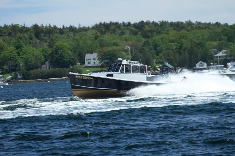 Heather Thompson’s Gold Digger. STEVE EDWARDS/Boothbay Register