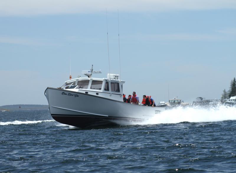 Andrew Taylor’s Blue-Eyed Girl. STEVE EDWARDS/Boothbay Register