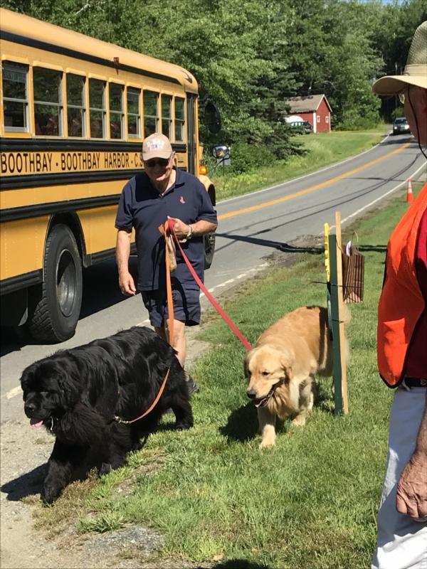 Dog day afternoon at the bus stop. KELLIE BIGOS/Boothbay Register