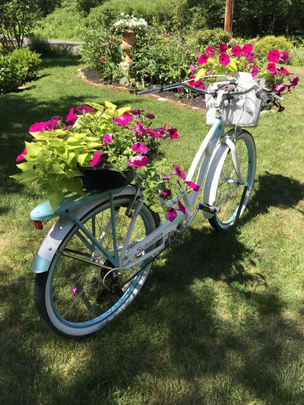 Vintage Schwinn at Schaefer House. KELLIE BIGOS/Boothbay Register