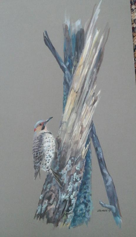“Yellow Shafted Flicker” by Julie Babb is representative of her highly skilled and detailed bird portraits. Check them out at Pemaquid Art Gallery. Courtesy of Peggy Farrell Julie Babb