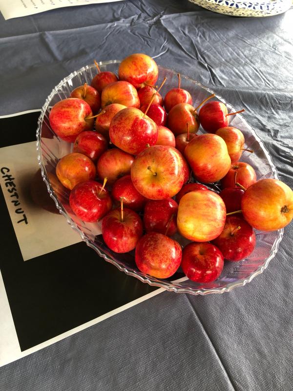 The Chestnut, overall winner in the tasting vote. JENNY BENNETT/Boothbay Register
