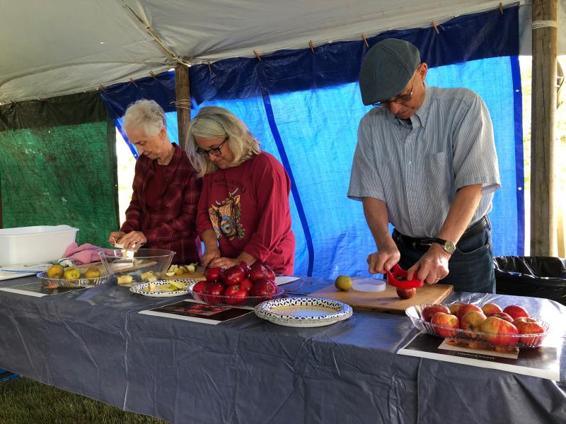 Volunteers wait to slice the apples for tasting. JENNY BENNETT/Boothbay Register