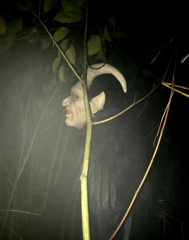 Warlock on the loose. KELLIE BIGOS/Boothbay Register