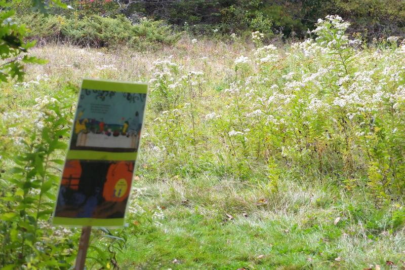 Sometimes there are two pages of “The Ugly Pumpkin” at a stop along the Trail. LISA KRISTOFF/Boothbay Register
