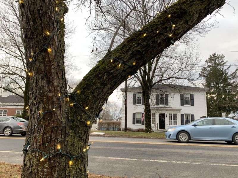 Route 1 motorists pass a Wiscasset tree wrapped with lights for the holidays. SUSAN JOHNS/Wiscasset Newspaper
